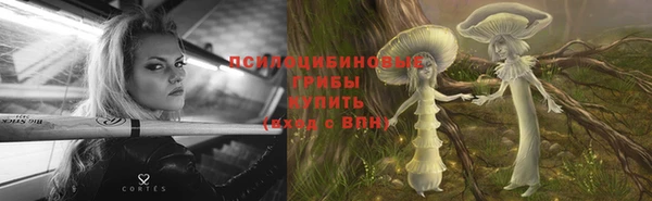 сатива Абаза