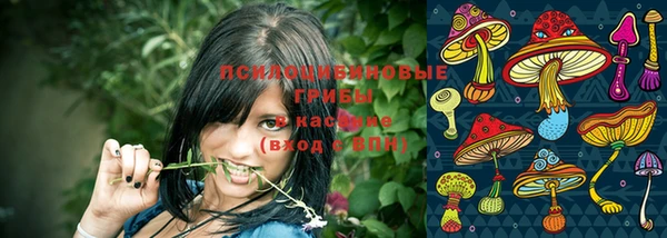спиды Абинск