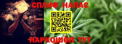 сатива Нарткала