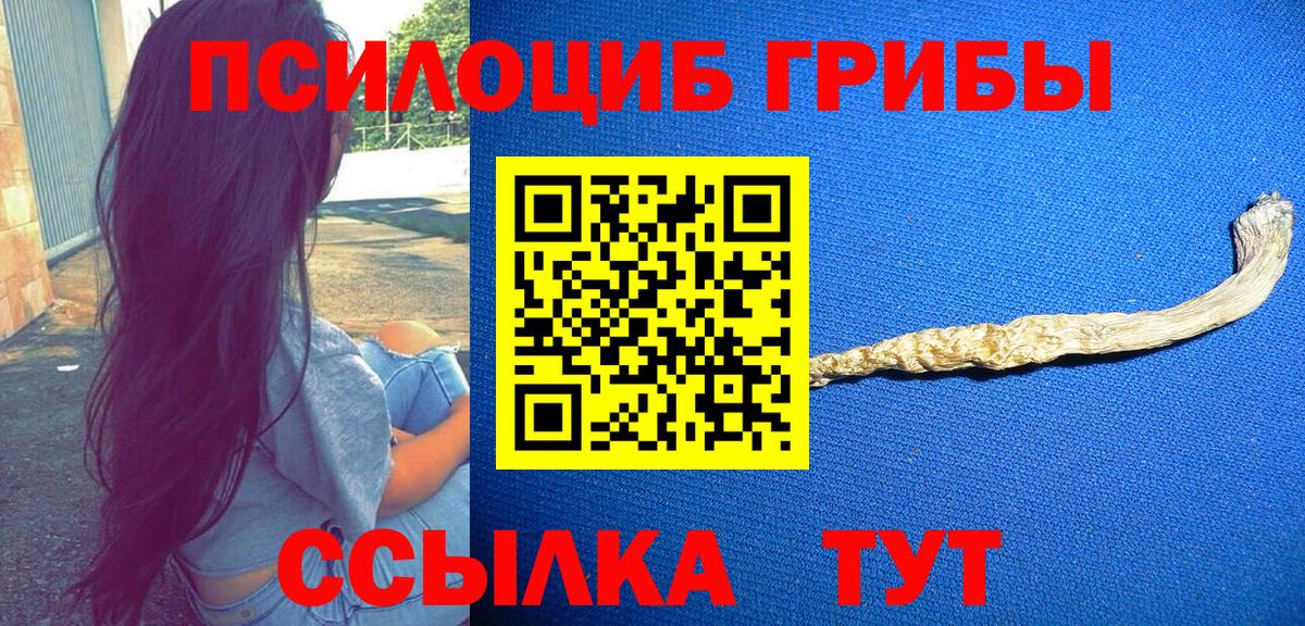 Галлюциногенные грибы Cubensis Аксай