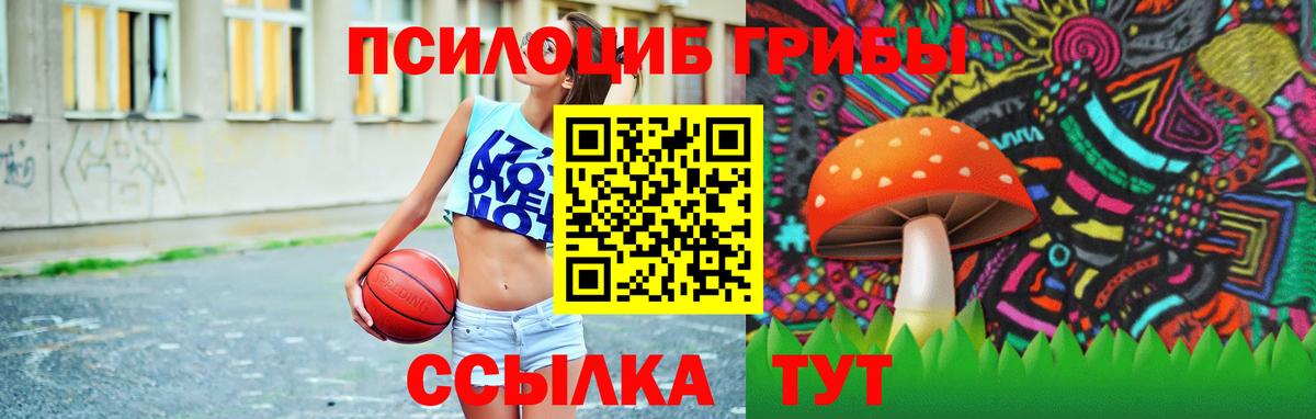 Псилоцибиновые грибы мицелий  Вход с VPN  где найти наркотики  Аксай 